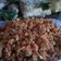 Cooksnap dari beby nurjameela untuk resep Sambal Oncom Kemangi