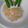 Cooksnap dari Atitsugi15 untuk resep Bubur Singkong ' Parut '