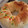 Cooksnap dari Afita Hasanah untuk resep Wool Roll Bread (Roti Gulungan Wol)