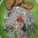 Cooksnap dari Dian Ika Mariana untuk resep Nasi Goreng Mentega