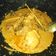 Cooksnap dari Maya untuk resep Gulai Ayam Khas Padang