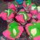 Cooksnap dari Joana untuk resep Bolu Kukus Taro selembut kapas
