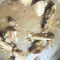 Sadaf Salman's cooksnap of when they made Chicken Aloo Salan.