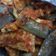 Cooksnap dari Niisha Petrova untuk resep Terong Balado