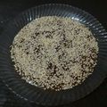 کوک اسنپ ماجده بروایه بعد از امتحان کردن حلوا نشاسته.