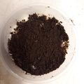 Cooksnap dari Gracia Patiar Dumasi Hutapea untuk resep Oreo Cheesecake (4 bahan dan mudah)