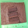 Cooksnap dari Kain Naturrohmah untuk resep Brownies Kukus Sederhana