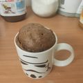 riesta's cooksnap of when they made 90 Second Microwave Hot Chocolate Mug Cake (vegan).