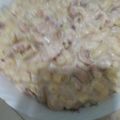 Cooksnap dari dian mariana ekawati untuk resep Macaroni schotel