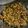 Arundhati Gadale ( अरुंधती गडाळे )'s cooksnap of when they made कांदा पात (kanda pat recipe in marathi).