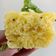 Bhavini Kotak's cooksnap of when they made નાયલોન ખમણ.