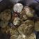 Winnie0930 的 金沙豆腐 cooksnap
