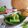 Cooksnap dari Nay's Kitchen untuk resep Dadar gulung isi vla nangka