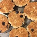 El cooksnap de biagionimarina cuando hizo Galletitas súper fáciles.