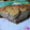 El cooksnap de Evangelina Jaime cuando hizo Tarta de Ricota, Manzanas y Pasas de uva.
