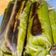 Cooksnap dari Virly Anggraeni untuk resep Nasi Bakar Teri