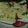 Shweta Samnani's cooksnap of when they made Dhokla.
