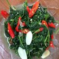 Cooksnap dari Shabilla Mahadi untuk resep Tumis kangkung bawang putih