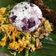 Cooksnap dari Renny Mahlenny untuk resep Nasi Sela Sambal Bongkot dan Urap Bumbu Genep