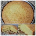 El cooksnap de Yanira Rodríguez cuando hizo Torta de naranja 🍊en licuadora sin gluten.
