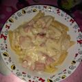 El cooksnap de Yajaira Carolina Martelo cuando hizo Salsa blanca con cebolla rehogadas y queso fresco.