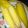 Ummu_Aymaan_kitchen's cooksnap of when they made Boiled corn.