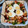 El cooksnap de fernandofm49 cuando hizo Salpicón de Marisco.