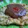Cooksnap dari Cicik Ary untuk resep Tahu telur bumbu pecel kenangan Jogja