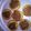 Mae Leigh's cooksnap of when they made Vickys Sunflower Butter (Alternate Peanut Butter) GF DF EF SF NF.