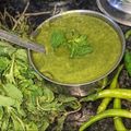 Babita Varshney का कुकस्नैप जब उन्होंने आम धनिया पुदीना चटनी (Aam dhaniya pudina chutney recipe in hindi) बनाया था।