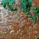 Cooksnap dari Devita Rizky Maharani untuk resep Saos bolognese home made