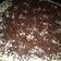 Cooksnap dari Helda Safitri untuk resep Bolu Tiramisu Kukus