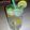 Dolly Kachhwani's cooksnap of when they made Mint Lemon Mojito.