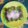 Cooksnap dari Ida Faridah (Ummu Ibrahim) untuk resep Pisang coklat balut roti pandan