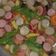 Cooksnap dari FEBRI HARIATIN untuk resep Capcay Kuah ala Solaria