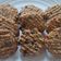 Cooksnap dari Vien Aiza Fauziah untuk resep Oat Chocochips Cookies