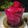 Cooksnap dari Tri Yunianti untuk resep 150. Sorbet Buah Naga