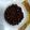 Cooksnap dari Lala Lala untuk resep Boba pearl brown sugar