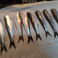El cooksnap de MMar González Gómez cuando hizo Sardinas al horno 🐟.
