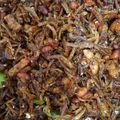 Cooksnap dari Ika Sartika untuk resep Balado Teri dan Kacang Tanah