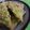 Cooksnap dari Reny Fitriasari untuk resep Tempe Mendoan