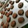 Cooksnap dari Fauziah Nur untuk resep Cookies chocochips