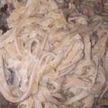 Cooksnap dari Ani Romsita untuk resep Creamy Spaghetti Carbonara