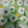 Cooksnap dari Dewi Indrayanti untuk resep Putu Ayu