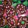 Cooksnap dari Melur Anggraeni untuk resep Donat ekonomis
