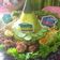 Cooksnap dari Honey untuk resep Tumpeng ulang tahun