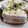 รูป Cooksnap ของ รัตน์ (Rat Sri) เมื่อเขาทำ เต้าหู้นึ่งไส้หมูซอสเนยต้นหอม ที่ปลูกจากหอมแดง