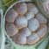 il Ilovecookingathome quando ha preparato Il danubio dolce
