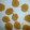 patuca's cooksnap of when they made parmesan crisp.