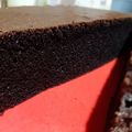 Cooksnap dari elin lin untuk resep Bolu ketan hitam panggang